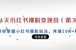 【第4058期】21天小红书涨粉变现营(第3期):带你掌握小红书爆款玩法,月赚10W+秘密