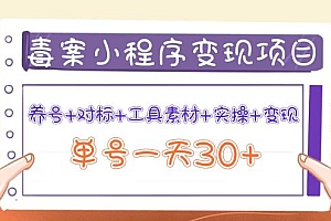 【第4114期】图文案小程序变现项目:养号+对标+工具素材+实操+变现,单号一天30+