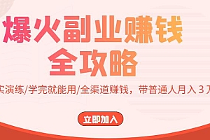 【第4116期】爆火副业赚钱全攻略:实打实演练/学完就能用/全渠道赚钱,带普通人月入3万元
