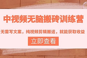 【第4119期】中视频无脑搬砖训练营:无需写文案,纯视频剪辑搬运,就能获取收益!