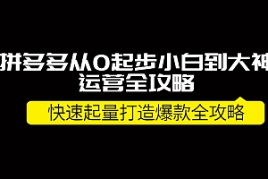 【第4127期】拼多多从0起步小白到大神运营全攻略,快速起量打造10W+爆款全攻略