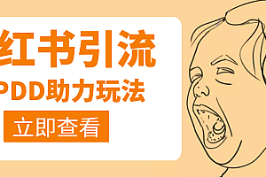 【第4130期】利用小红书卖拼多多助力,日赚100+,顺便还能引个流【视频课程】