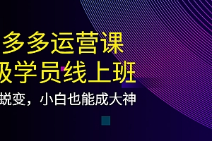 【第4160期】拼多多运营课:超级学员线上班,21天蜕变,小白也能成大神