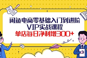 【第4210期】闲鱼电商零基础入门到进阶VIP实战课程,单店每日净利增300+(37节课)