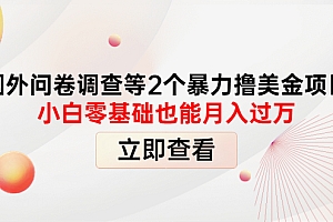 【第4272期】国外问卷调查等2个暴力撸美金项目,小白零基础也能月入过万