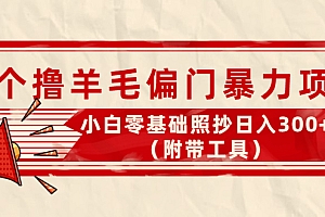 【第4312期】外面卖998的三个撸羊毛偏门暴力项目,小白零基础照抄日入300+(附带工具)