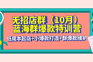 【第4377期】无招店群·蓝海群爆款特训营(10月新课) 低成本起店+小爆款打造+群爆款维护
