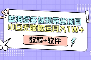 【第4512期】人人都能操作的蓝海多多视频带货项目 小白无脑搬运月入10000+(教程+软件)