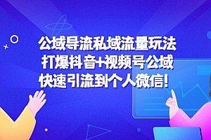 【第4584期】公域导流私域流量玩法:打爆抖音+视频号公域,快速引流到个人微信