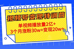 【第4613期】20天视频号变现特训营:单视频播放量2亿+3个月涨粉30w+变现20w+