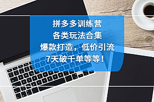 【第4825期】拼多多训练营:各玩法合集,爆款打造,低价引流,7天破千单等等