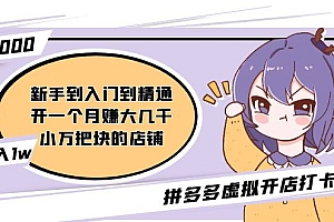 【第5073期】拼多多虚拟开店打卡群:新手到入门到精通(昨日群里有小伙伴日入3000+)