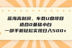 【第6681期】蓝海高利润,车载U盘项目,适合0基础小白,一部手机轻松实现一天500+