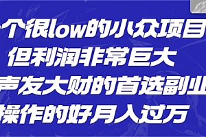 【第6682期】一个很low的小众项目,但利润非常巨大,闷声发大财的首选副业,月入过万