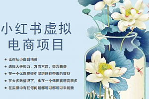 【第6686期】小红书虚拟电商从0到1,让你从小白到精英(20节实操课程)