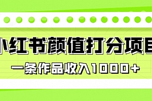 【第6943期】适合0基础小白的小红书颜值打分项目,一条作品收入1000+