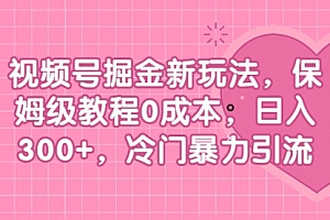 【第6945期】视频号掘金新玩法,保姆级教程0成本,日入300+,冷门暴力引流
