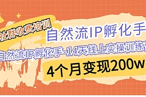 【第7009期】自然流IP孵化手-14天线上实操训练营 4个月变现200w