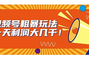 【第7025期】视频号粗暴玩法,一天利润大几千!