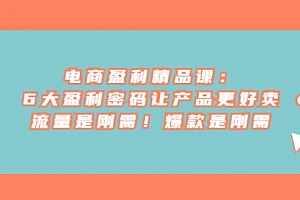 【第7032期】电商盈利精品课:6大盈利,密码让产品更好卖,流量是刚需