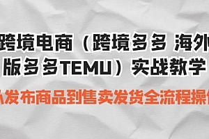 【第7054期】跨境电商(跨境多多 海外版多多TEMU)实操教学
