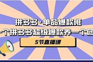 【第7071期】拼多多·单品爆款班,一个拼多多超级爆款养一个团队