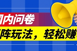 【第7505期】保姆级教程,国内问卷矩阵玩法,轻松赚收益