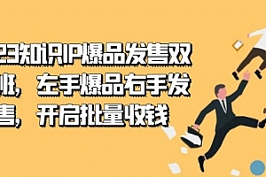 【第7552期】2023知识IP-爆品发售双 阶班,左手爆品右手发售,开启批量收钱