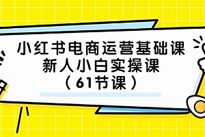 【第7889期】小红书电商运营基础课,新人小白实操课(61节课)