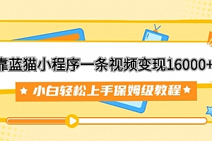 【第7909期】靠蓝猫小程序一条视频变现16000+小白轻松上手保姆级教程(附166G资料素材)