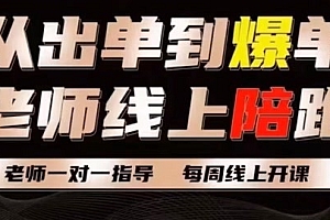 【第8038期】新手小红书+拼多多电商起步到起飞陪跑教程
