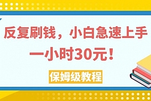 【第8040期】反复刷,小白急速上手,一个小时30元,实操教程
