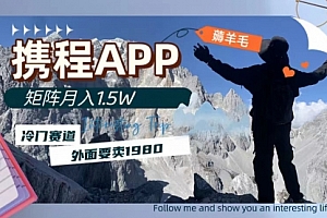 【第8046期】携程APP薅羊毛,外面卖1980的冷门赛道,矩阵月入1.5w