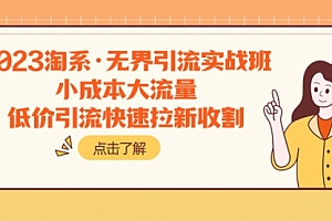 【第8106期】2023淘系·无界引流实战班:小成本大流量,低价引流快速拉新收割