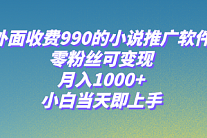 【第8256期】小说推广软件,零粉丝可变现,月入1000+,小白当天即上手【附189G素材】