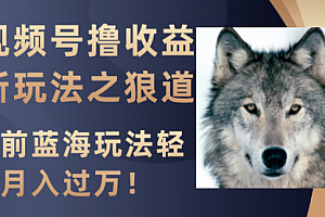 【第8271期】视频号撸收益新玩法之狼道,目前蓝海玩法轻松月入过万!