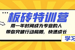 【第8289期】板砖特训营,用一年时间成为专业的人,带你突破行动局限,快速成长