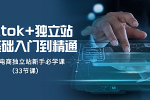【第8304期】tk+独立站从0基础入门到精通,跨境电商独立站新手必学课