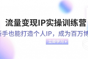 【第8349期】流量变现-IP实操训练营:新手也能打造个人IP,成为百万博主