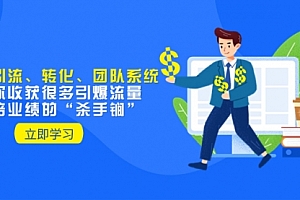 【第8350期】教你打造引流、转化、团队系统,让你收获很多引爆流量、翻倍业绩的