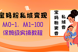 【第8354期】宝妈粉私域变现从0-1,从1-100,保姆级实操教程,长久稳定的变现之法