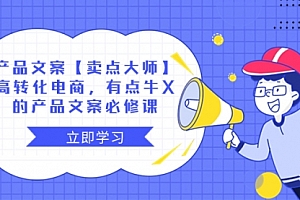 【第8431期】产品文案【卖点 大师】高转化电商,有点牛X