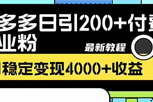 【第8456期】拼多多日引200+付费创业粉,日稳定变现4000+