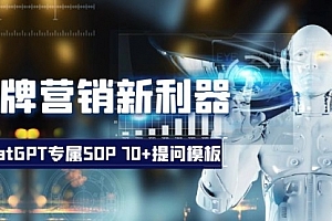 【第8569期】品牌营销新利器:ChatGPT专属SOP,70+提问模板