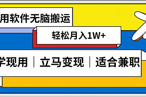 【第8618期】低密度新赛道 视频无脑搬 一天1000+几分钟一条原创视频