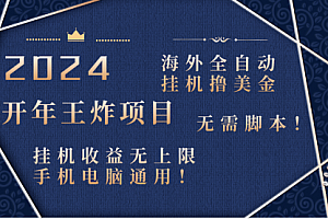 【第8620期】2024海外撸美金项目!手机电脑均可
