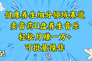 【第8638期】健康养生细分领域赛道,卖音药U盘养生音乐,轻松月赚一万+,可批量操作