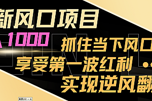 【第8650期】最新风口项目,日入过千,抓住当下风口,享受第一波红利,实现逆风翻盘