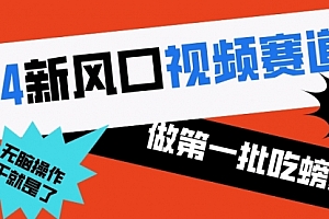 【第8652期】2024新风口视频赛道 做第一批吃螃蟹的人 10分钟一条原创视频