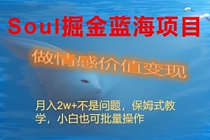 【第8669期】Soul掘金蓝海项目细分赛道,做情感价值变现,月入2w+不是问题